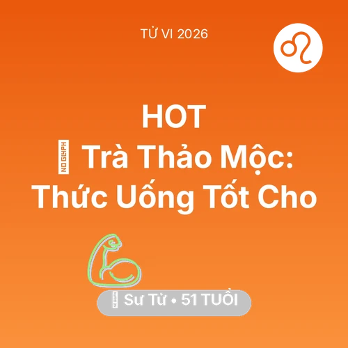 Vận hạn Sư Tử sinh năm 1975 trong năm (2026): 🍵 Trà Thảo Mộc: Thức Uống Tốt Cho Sư Tử