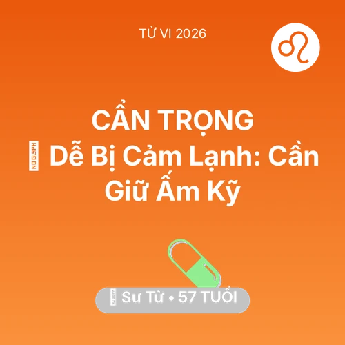 Tử vi Sư Tử sinh năm 1969 trong năm 2026: 🥶 Dễ Bị Cảm Lạnh: Sư Tử Cần Giữ Ấm Kỹ