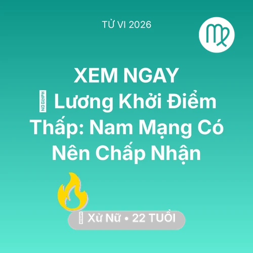Vận hạn Xử Nữ sinh năm 2004 trong năm (2026): 📉 Lương Khởi Điểm Thấp: Nam Mạng Xử Nữ Có Nên Chấp Nhận