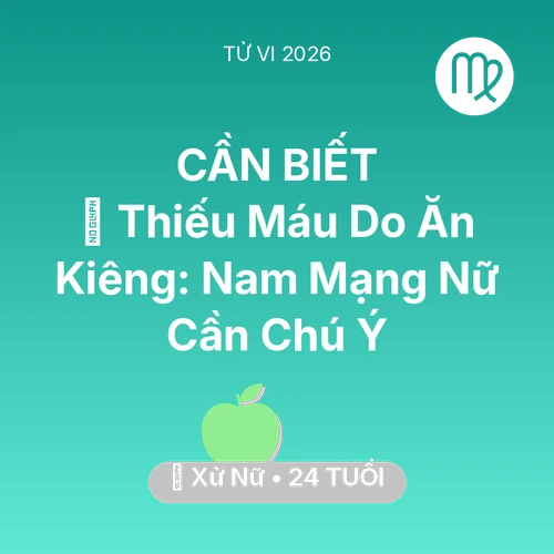 Vận hạn Xử Nữ sinh năm 2002 trong năm (2026): 🩸 Thiếu Máu Do Ăn Kiêng: Nam Mạng Xử Nữ Nữ Cần Chú Ý
