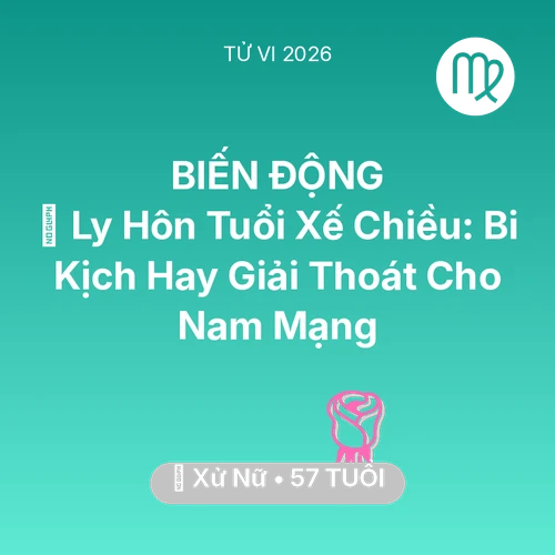 Vận hạn Xử Nữ sinh năm 1969 trong năm (2026): 🚪 Ly Hôn Tuổi Xế Chiều: Bi Kịch Hay Giải Thoát Cho Nam Mạng Xử Nữ