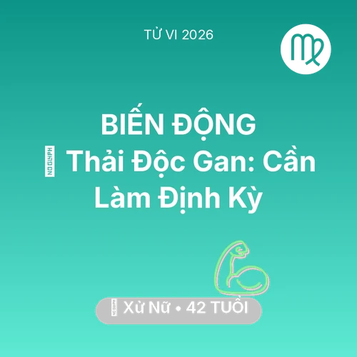 Xem tử vi Xử Nữ sinh năm 1984 : 🗝️ Thải Độc Gan: Xử Nữ Cần Làm Định Kỳ