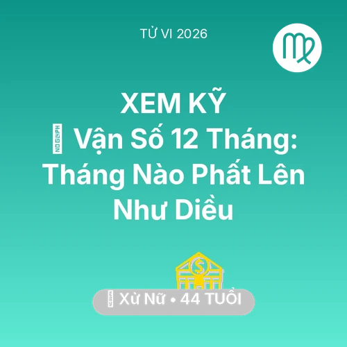 Xem tử vi Xử Nữ sinh năm 1982 : 📈 Vận Số 12 Tháng: Tháng Nào Xử Nữ Phất Lên Như Diều